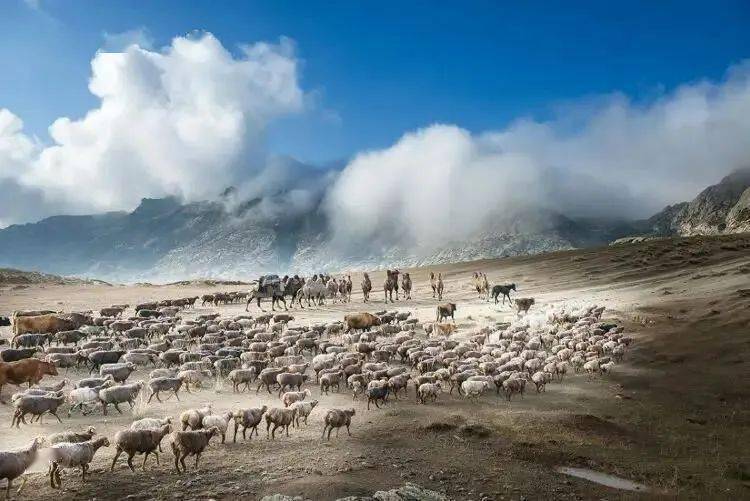 失传？？？天珠鲜为人知的秘密  第4张