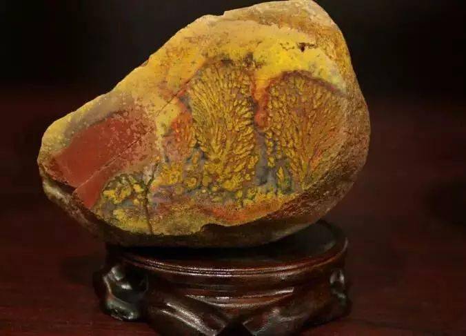 看起来很漂亮的“新玉种”，其实并不值钱  第15张