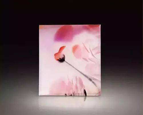 那些高价成交的小石头，实在太美！  第6张