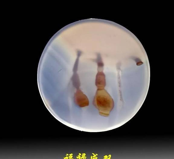 经济不景气，石头的“出路”在哪儿？  第7张