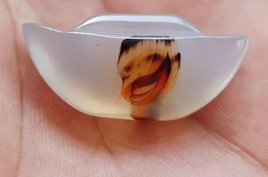 玛瑙是什么意思  第2张