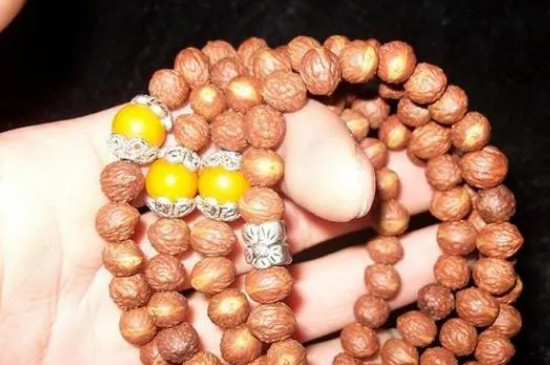 菩提种类  第2张