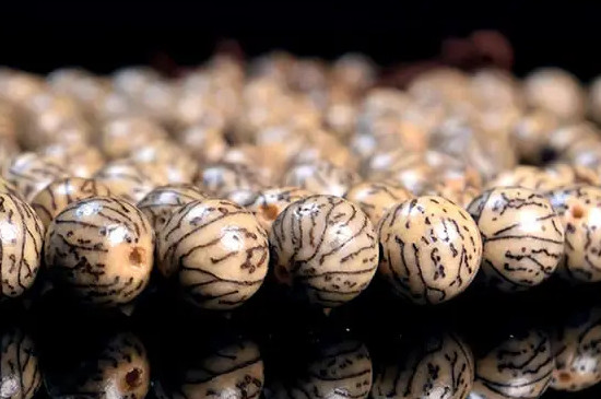 菩提种类  第5张