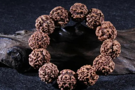 菩提根是什么  第2张