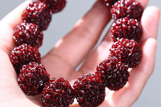 金刚手串是什么树的核  第2张