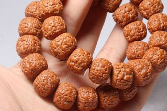 金刚手串是什么树的核  第3张