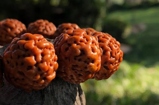 菩提手串能沾水吗  第3张