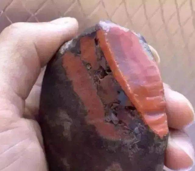 嫁接造假开天窗，看完你还敢玩吗？  第8张