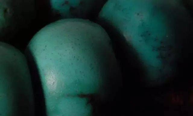 优化≠造假，最会故意混淆的概念！  第5张