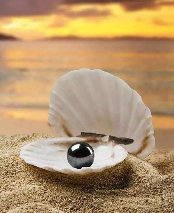 黑珍珠--天空伤心时的一滴泪  第2张