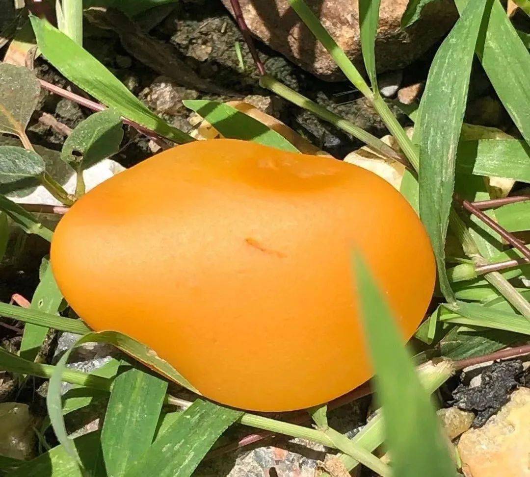 蜡石收藏，沉淀方出精品......  第5张