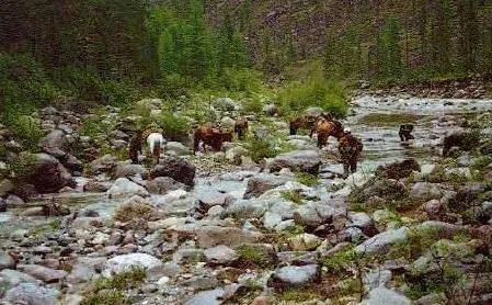 什么样的玉石才被称之为和田玉?  第10张