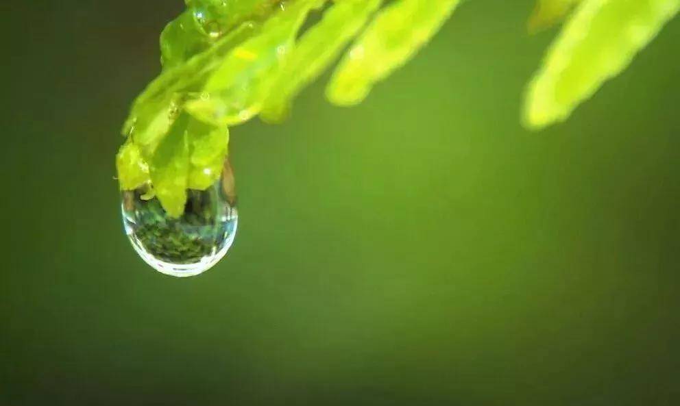 吊坠都爱做成水滴型？是什么原因呢？  第2张