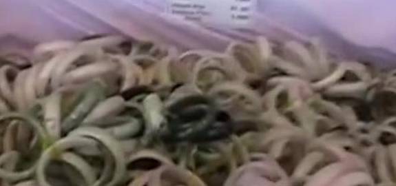 街边地摊上小贩悄悄告诉你：那些10块的玉镯是哪里来的？  第2张