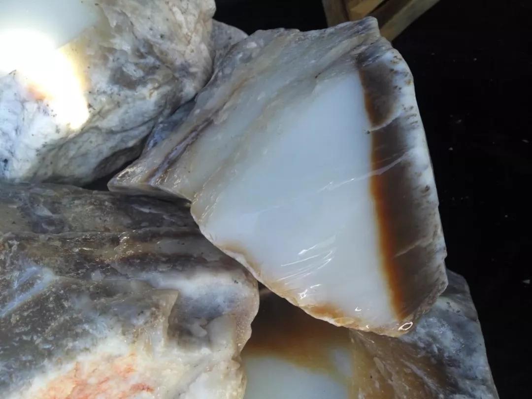 行家都说"且末料"，它究竟有啥魅力？  第5张