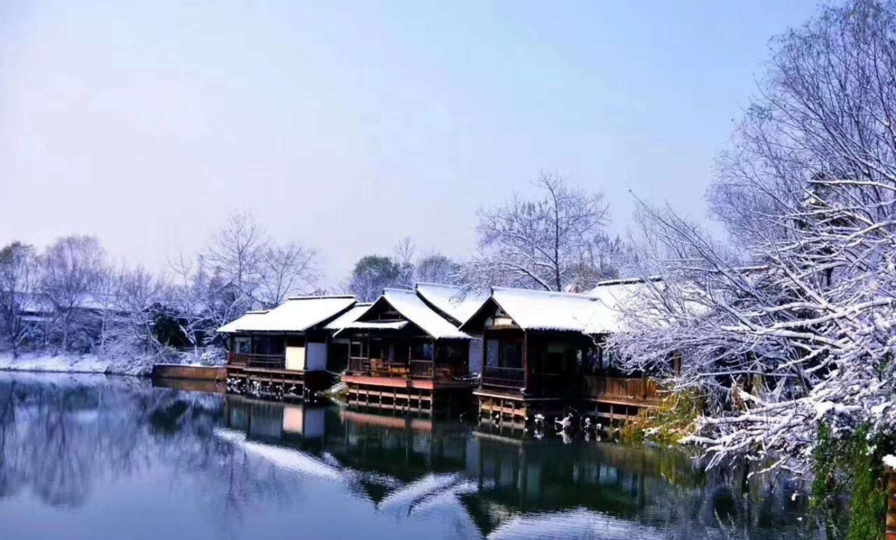 翡翠雪花棉之美，那一眼宛若初雪，朦胧如诗！  第11张