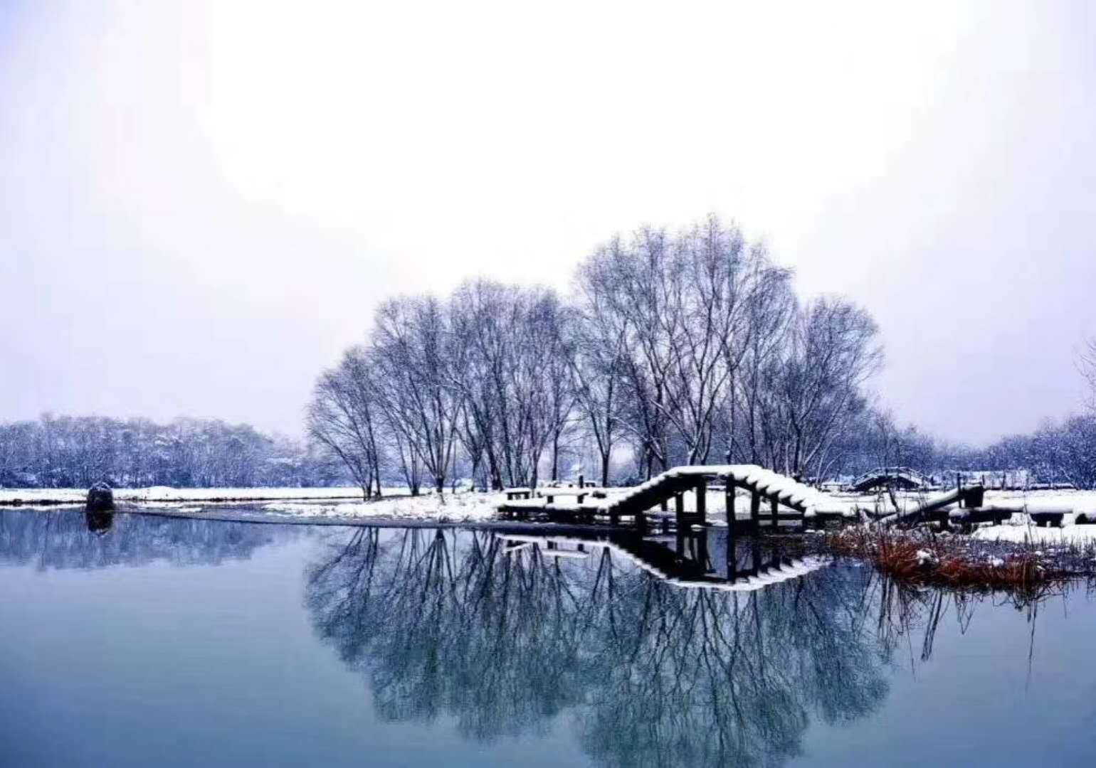 翡翠雪花棉之美，那一眼宛若初雪，朦胧如诗！  第6张