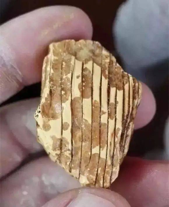 这些纹路假到家了竟然还都是真的！  第2张