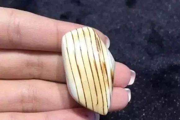 这些纹路假到家了竟然还都是真的！  第3张