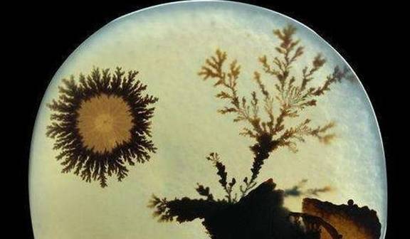 为什么说这几种玉石让造假者禁足?玉石奇妙之处  第10张