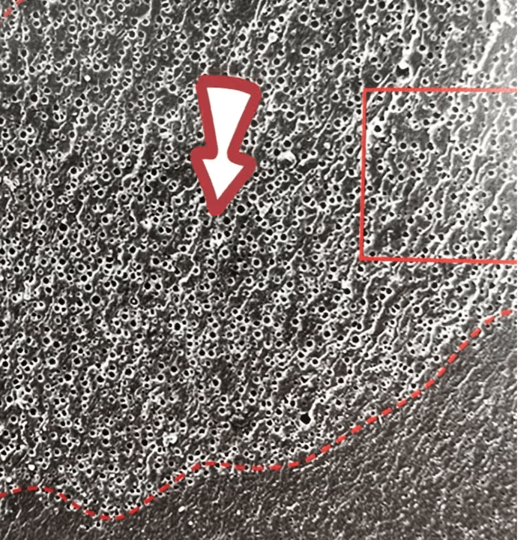 天然蜜蜡的流动纹，如何辨别？  第3张